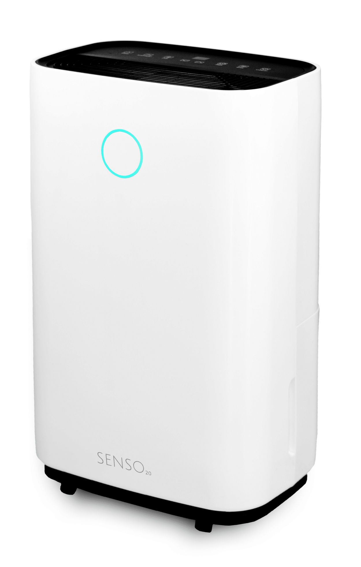 SENSO 20